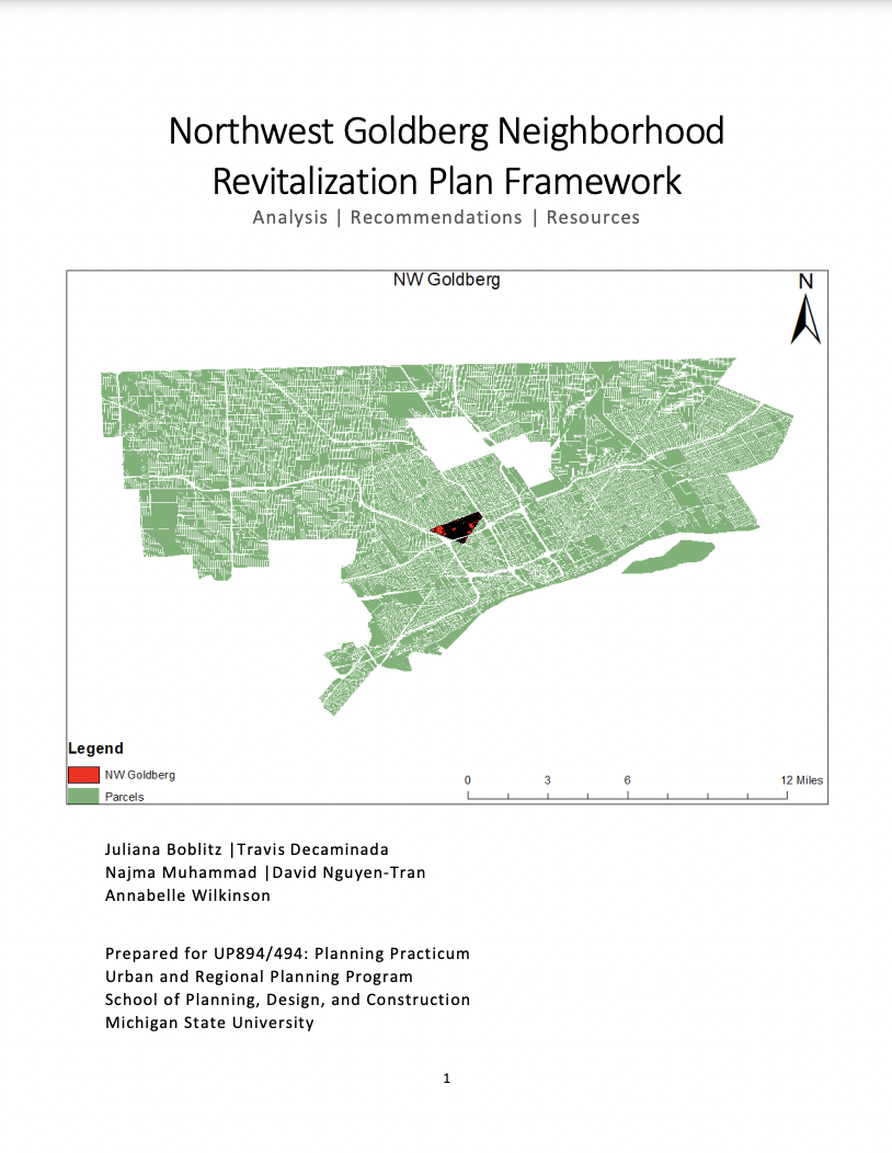 Report for 2020: Northwest Goldberg Detroit Neighborhood Revitalization Plan